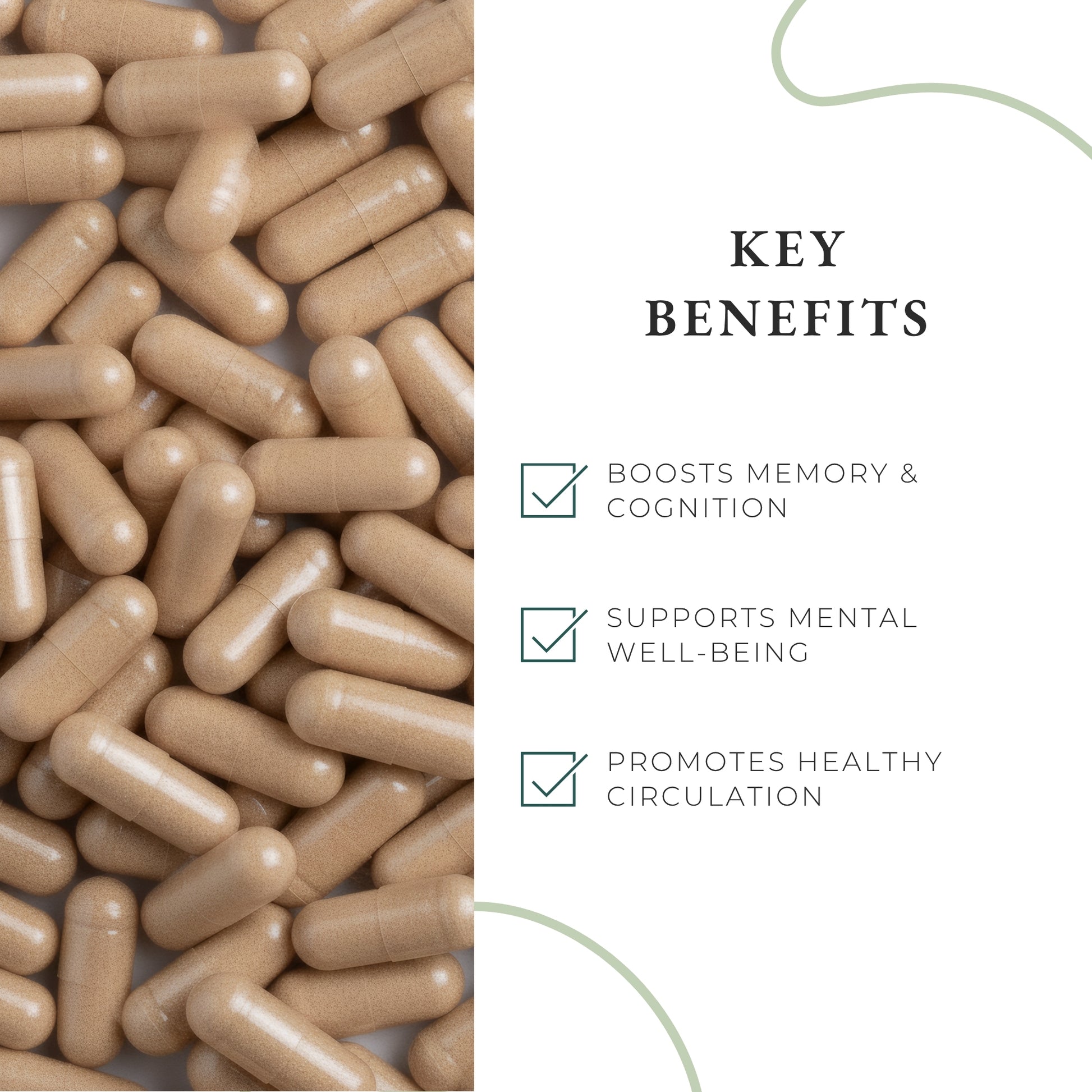 cognitive clarity supplement for women
