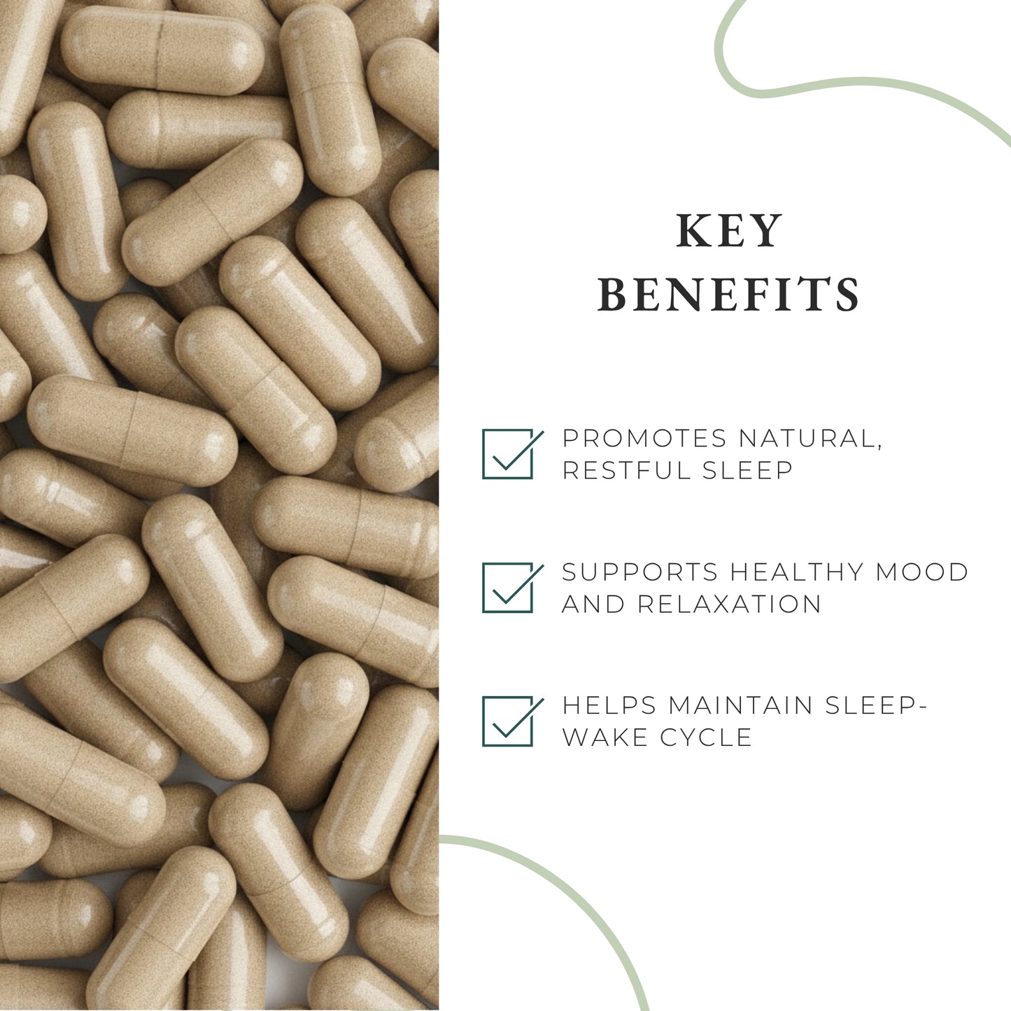 Sleep Support & Night Calm